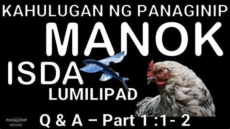 Kahulugan ng Panaginip ng Manok, Interpretasyon at Simbolo ng .